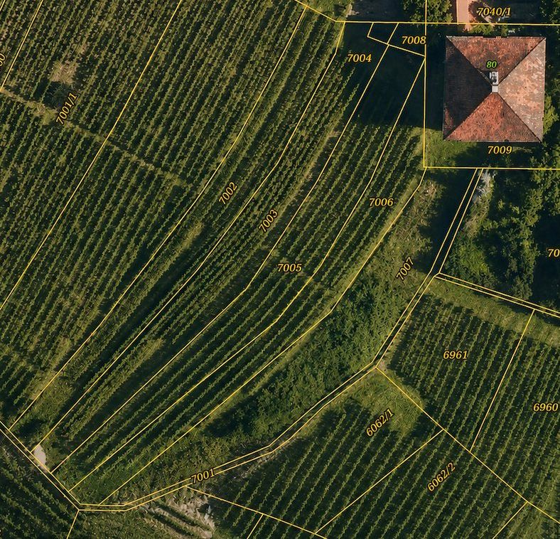 Flurkarte des Weinberggrundstücks