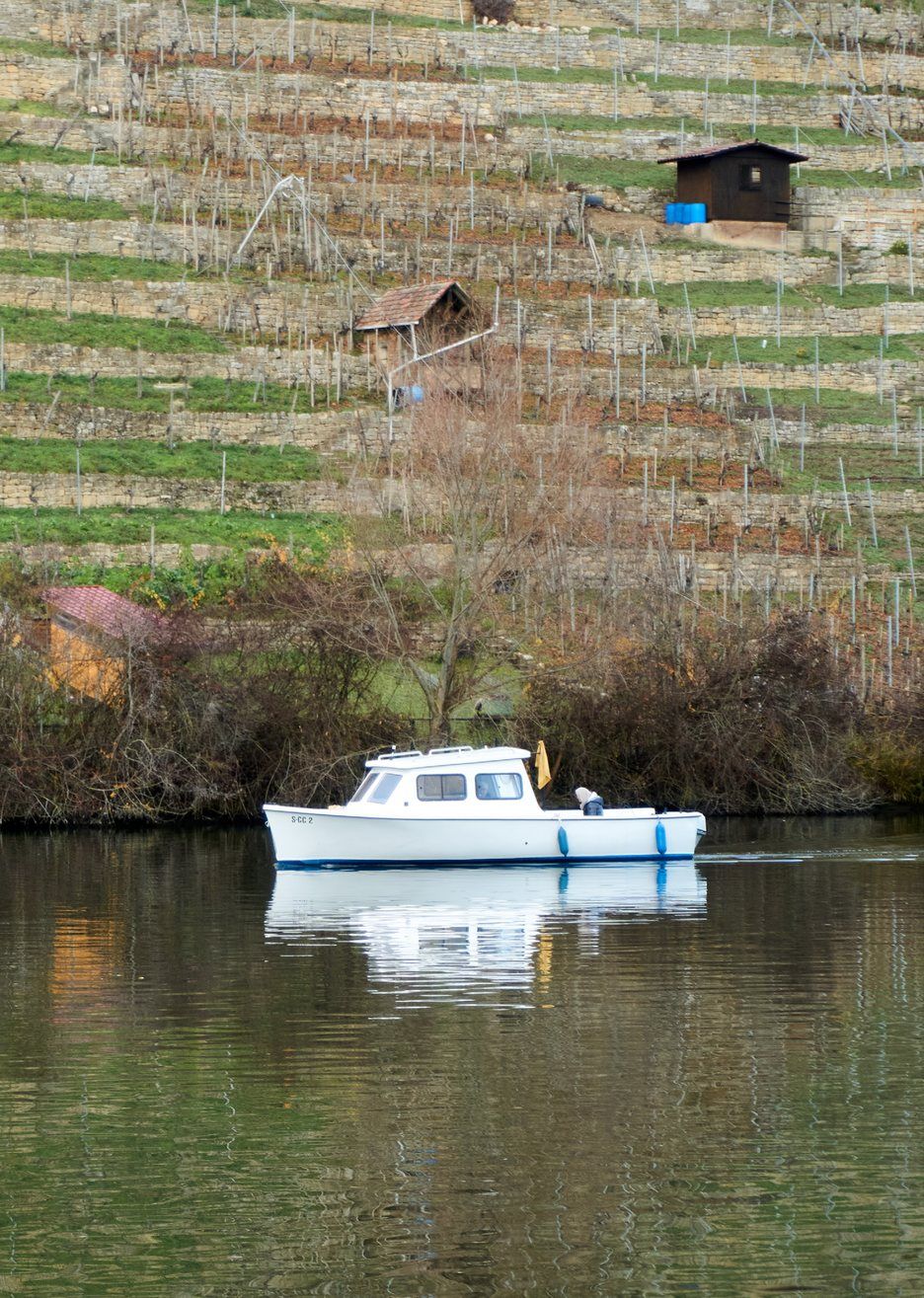 Weinberghütte in den Terrassen über dem Neckar