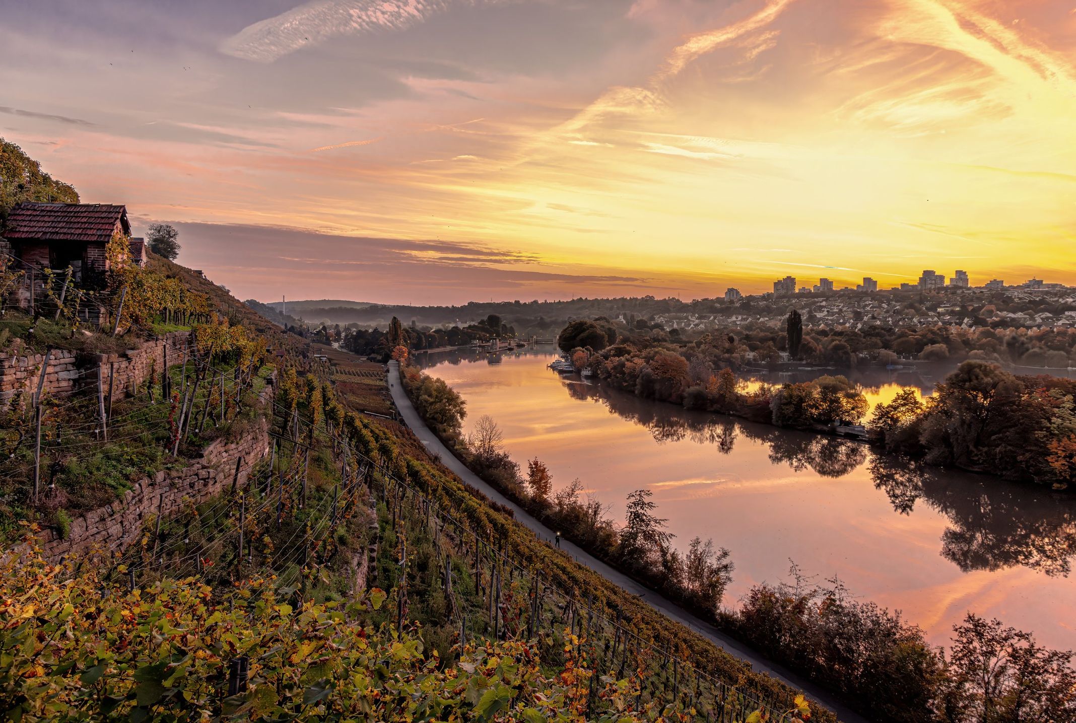 Sonnenuntergang über dem Neckartal und den Weinbergen